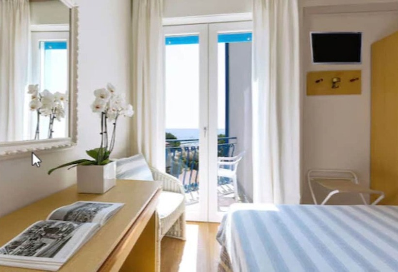 غرفة قياسية إطلالة جانبية علي البحر, Plaza Esplanade