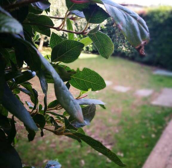 דירת חדר, Podere La Branda