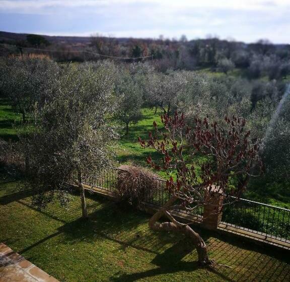 דירת חדר, Podere La Branda