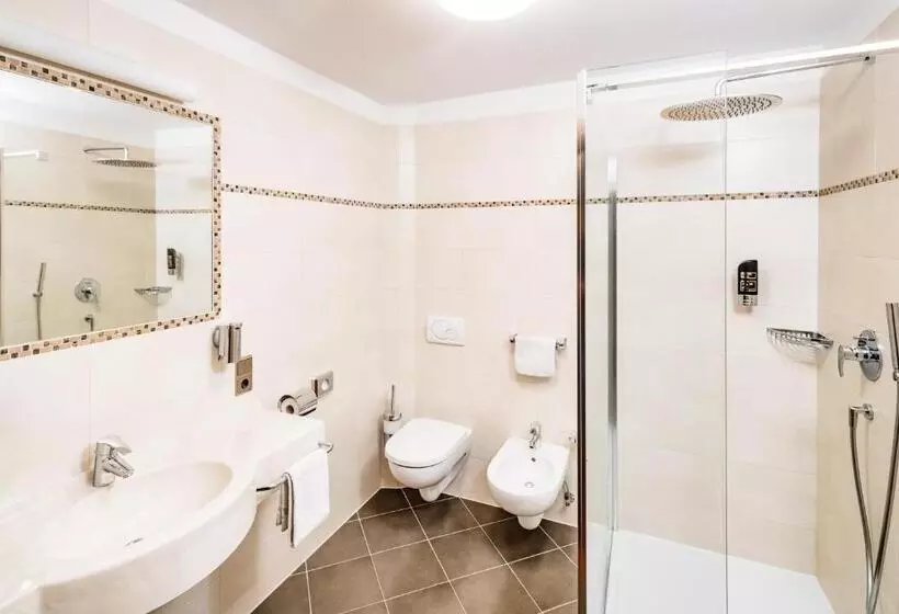 スタンダードシングルルーム, Schneeberg Family Spa Resort