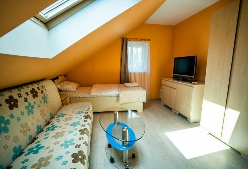 اتاق استاندارد با سرویس بهداشتی مشترک, Sveciu Namai Klaipeda Inn