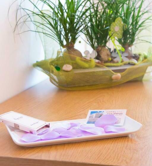 スタンダードシングルルーム, Touring Misano Adriatico