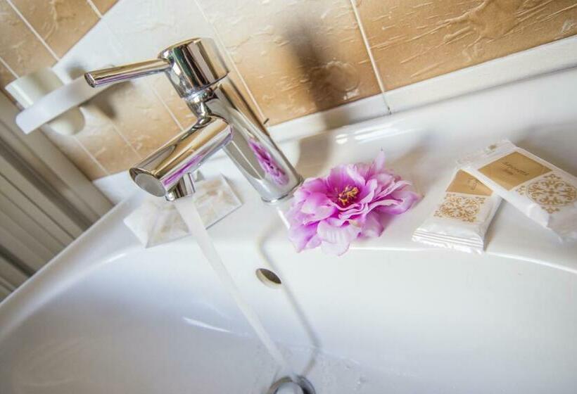 スタンダードシングルルーム, Touring Misano Adriatico