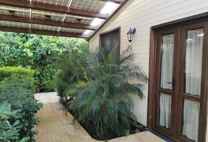 침실 1개 가든 전망 아파트, Villa Felicia