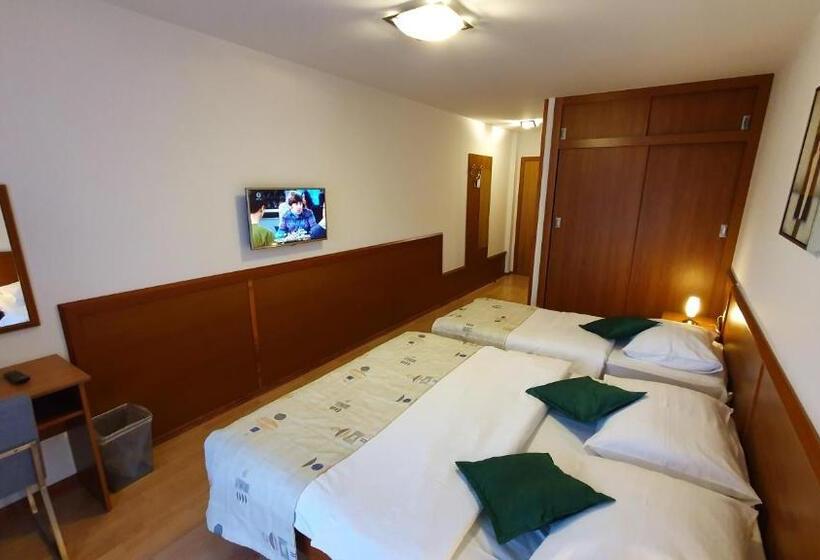 スタンダードトリプルルーム, Zvonimir