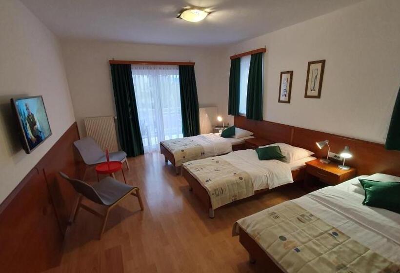 スタンダードトリプルルーム, Zvonimir