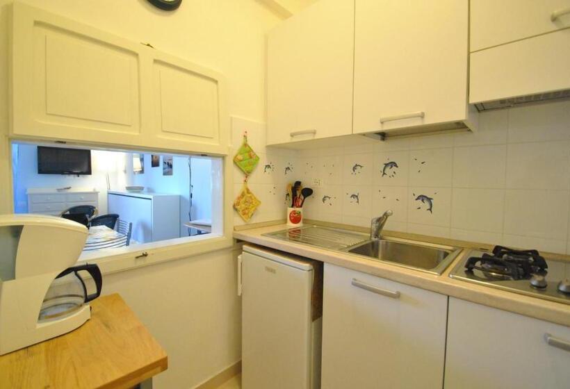 标准工作室带阳台, Fattoria Nel Parco