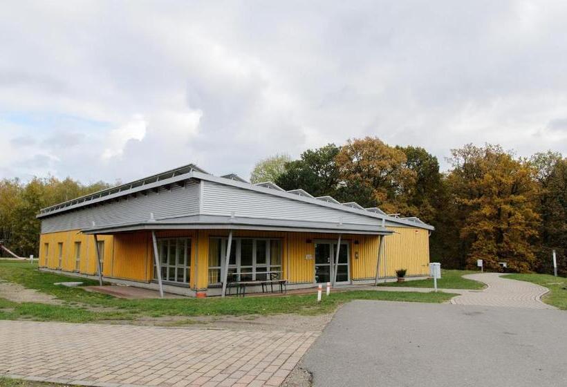 四人标准间, Forum Grillensee