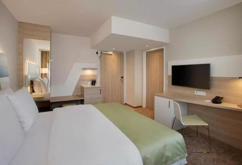 اتاق استاندارد با تخت دو نفره بزرگ برای معلولان, Holiday Inn Frankfurt Airport, An Ihg