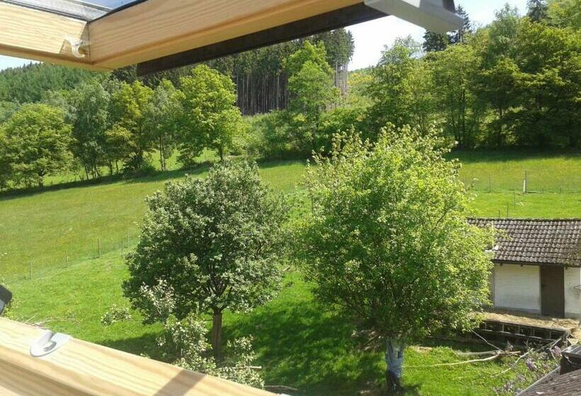 غرفة قياسية فردية, Klinger