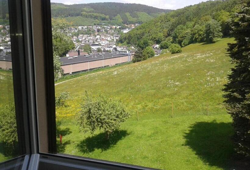 غرفة عائلية, Klinger