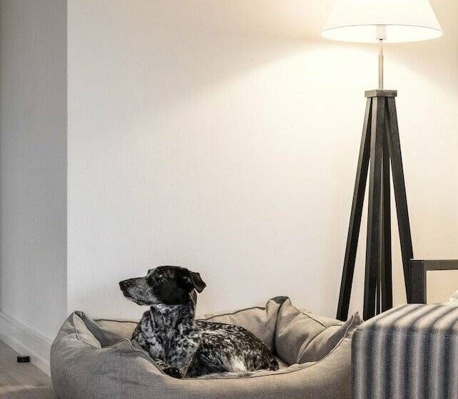 جناح, Severin's Resort & Spa