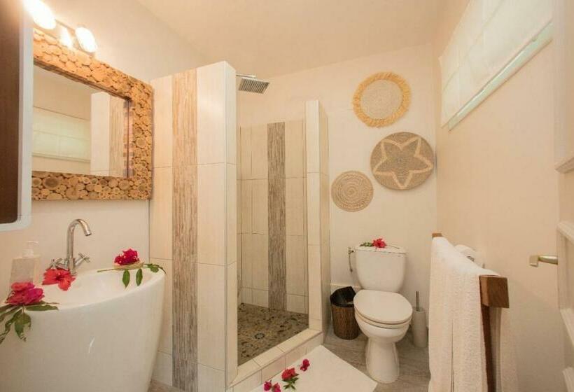 اتاق استاندارد, Raiatea Lodge