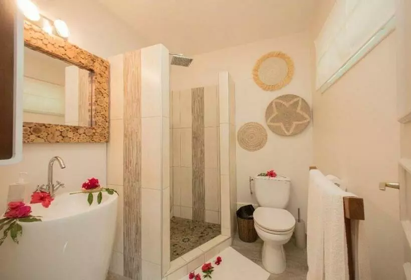 اتاق استاندارد, Raiatea Lodge