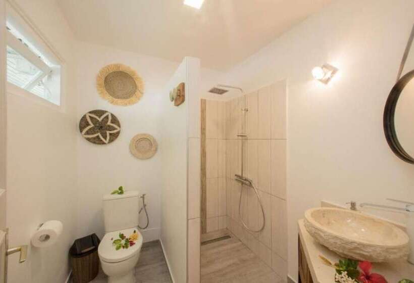 اتاق استاندارد با چشمانداز دریاچه, Raiatea Lodge