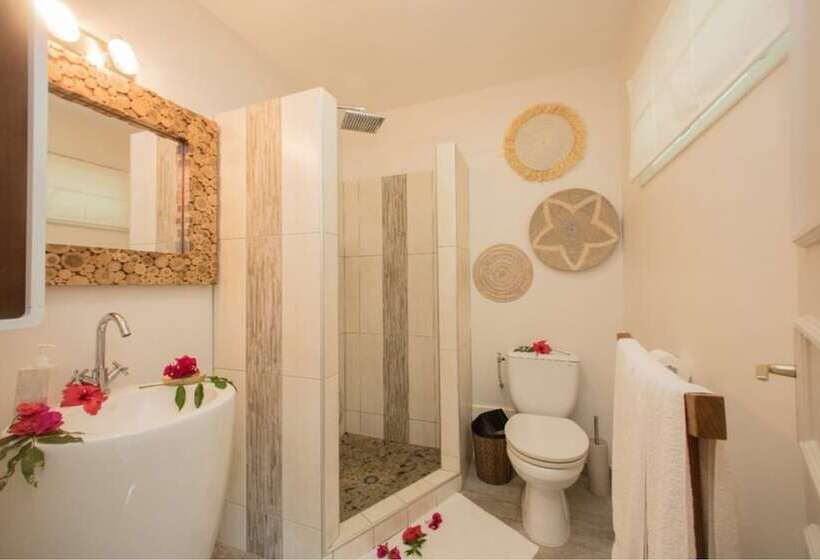 اتاق استاندارد با چشمانداز دریاچه, Raiatea Lodge