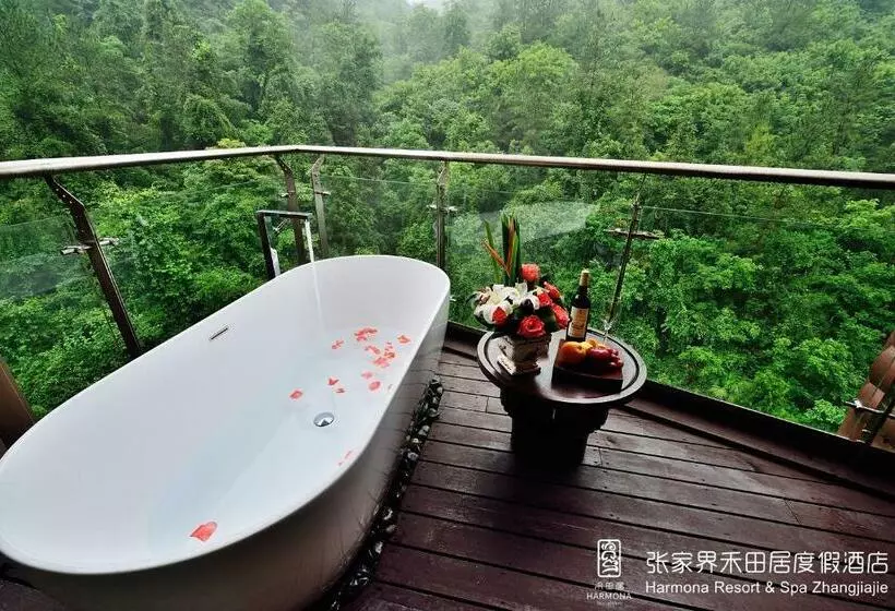 デラックスルーム, Harmona Resort & Spa Zhangjiajie