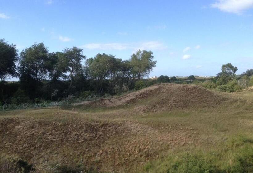 جناح جونيور, Ara Dune