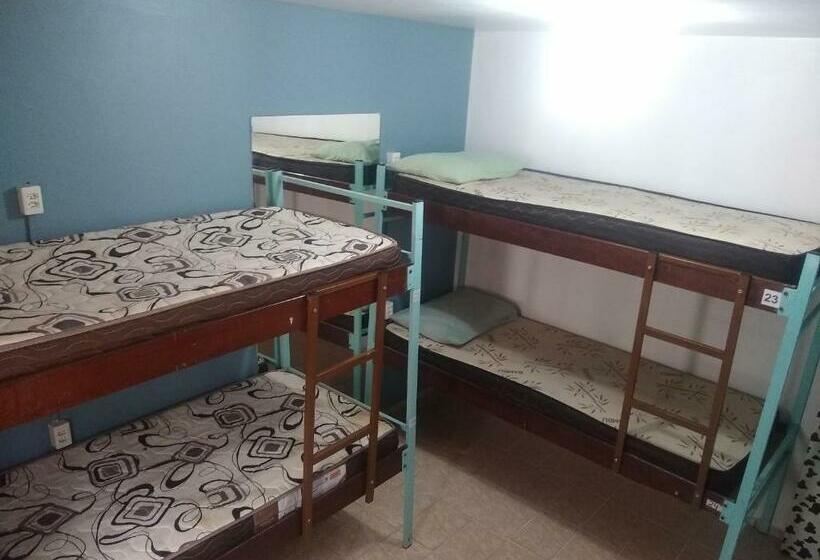 Bed in een Gedeelde Kamer, Hostel Freeway