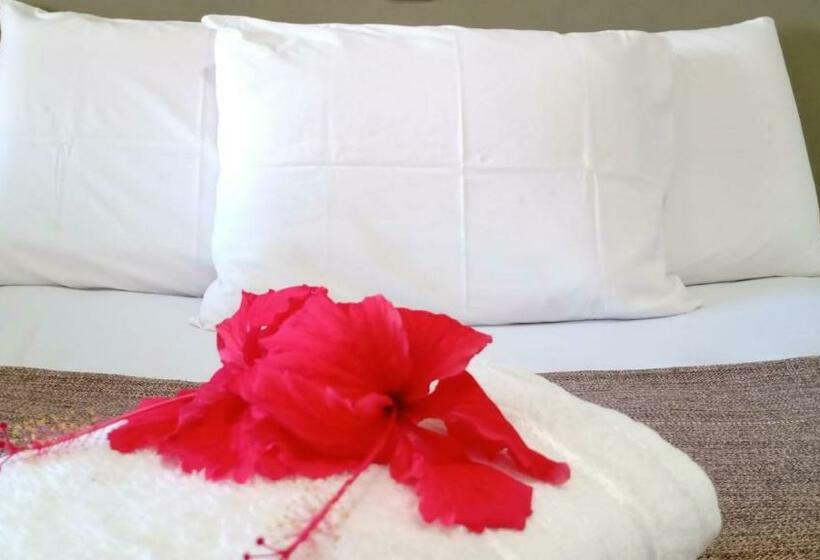 Номер Стандарт, Pousada Nova Oasis Do Rei