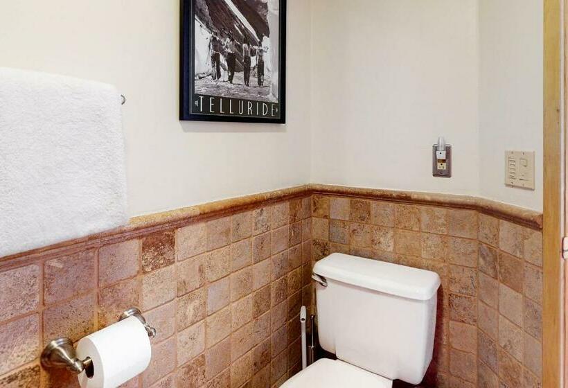 خانه 4 خوابه, Smuggler By Telluride Alpine Lodging