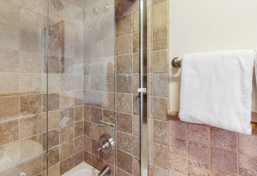 خانه 4 خوابه, Smuggler By Telluride Alpine Lodging