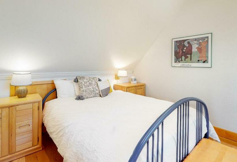 خانه 4 خوابه, Smuggler By Telluride Alpine Lodging