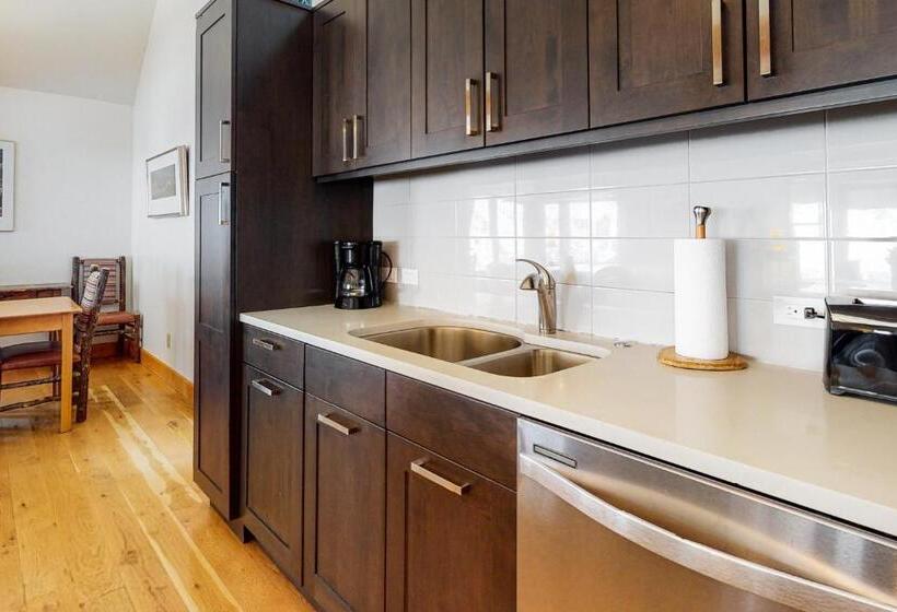 خانه 4 خوابه, Smuggler By Telluride Alpine Lodging