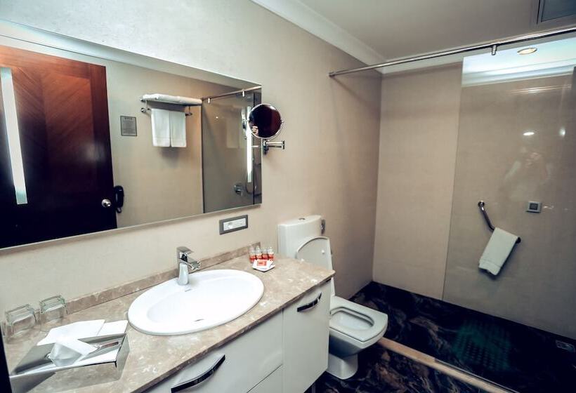 اتاق استاندارد, Parkside Hotel & Apartments