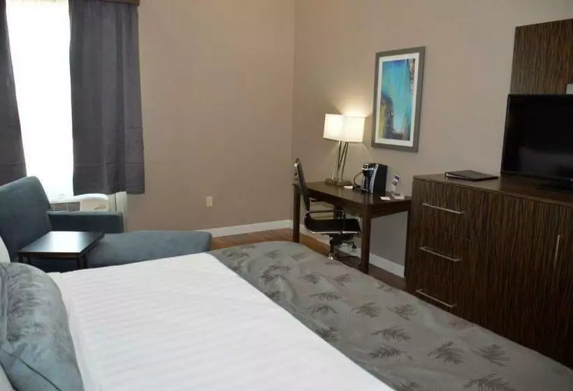 キングサイズベッドのスタンダードルーム, Best Western Plus Pflugerville Inn & Suites
