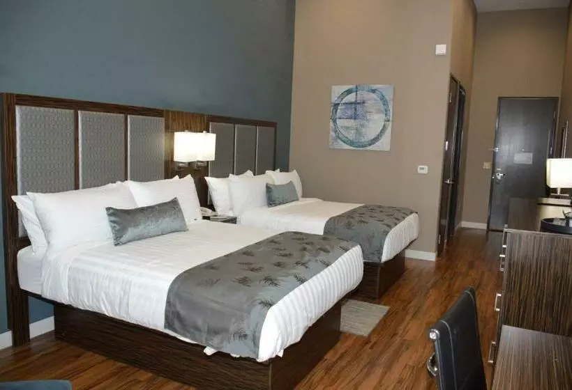 スタンダードルーム, Best Western Plus Pflugerville Inn & Suites