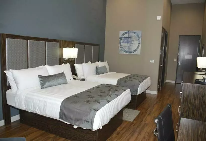 スタンダードルーム, Best Western Plus Pflugerville Inn & Suites