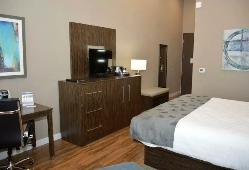 キングサイズベッドのスタンダードルーム, Best Western Plus Pflugerville Inn & Suites