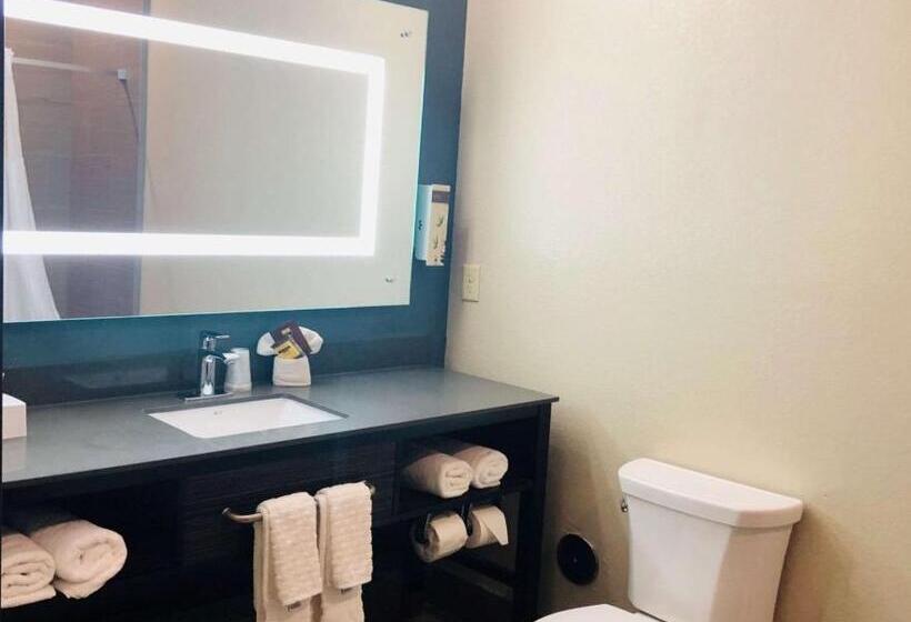 Люкс, Best Western Plus Pflugerville Inn & Suites