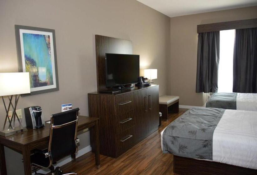 스위트, Best Western Plus Pflugerville Inn & Suites