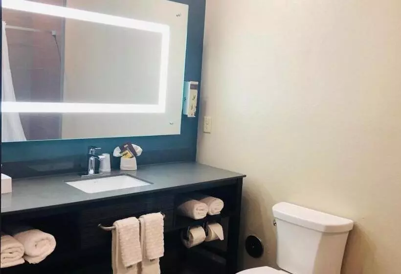 キングサイズベッドのスイートルーム, Best Western Plus Pflugerville Inn & Suites