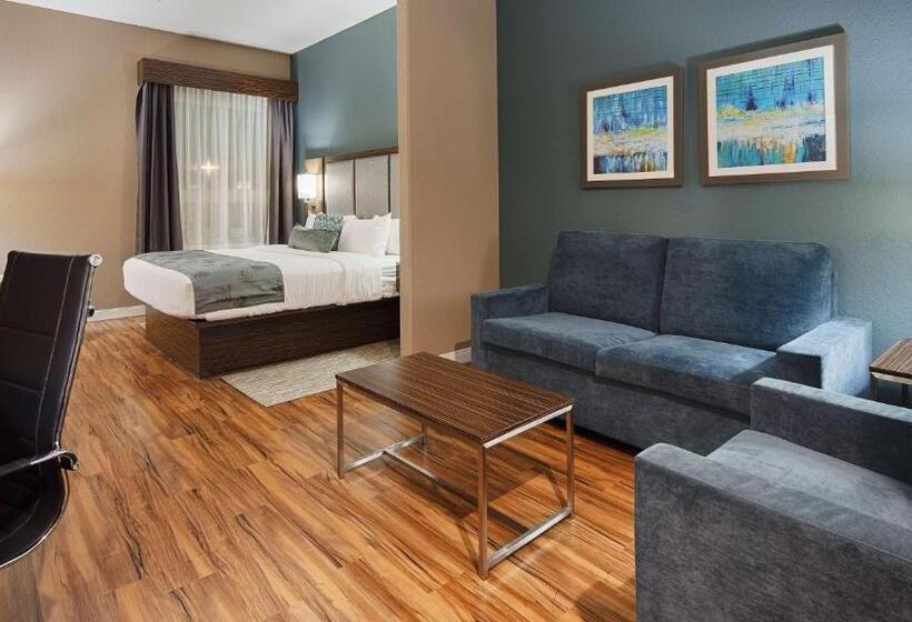Люкс Кровать Кинг, Best Western Plus Pflugerville Inn & Suites