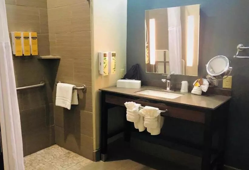 身障者適用キングサイズベッドルーム, Best Western Plus Pflugerville Inn & Suites