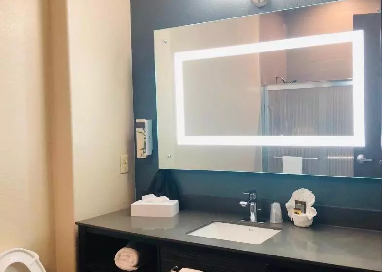 身障者適用キングサイズベッドルーム, Best Western Plus Pflugerville Inn & Suites