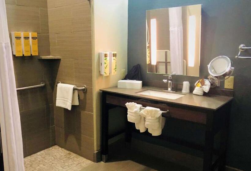 Номер Стандарт Кровать Кинг Адаптированный для Инвалидов, Best Western Plus Pflugerville Inn & Suites
