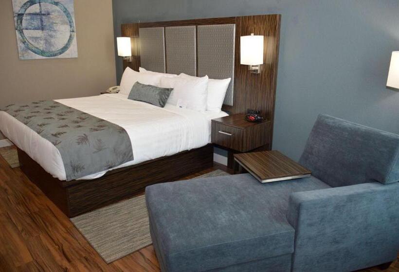 Номер Стандарт Кровать Кинг Адаптированный для Инвалидов, Best Western Plus Pflugerville Inn & Suites