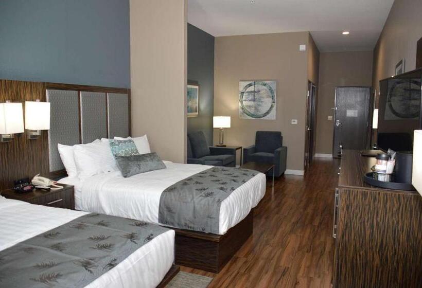 Номер Стандарт Адаптированный для Инвалидов, Best Western Plus Pflugerville Inn & Suites