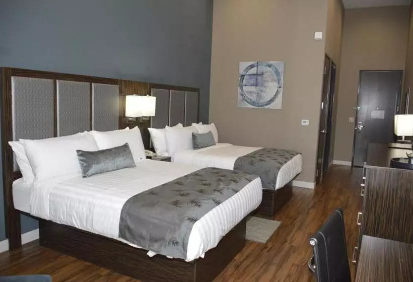 身障者適用スタンダードルーム, Best Western Plus Pflugerville Inn & Suites
