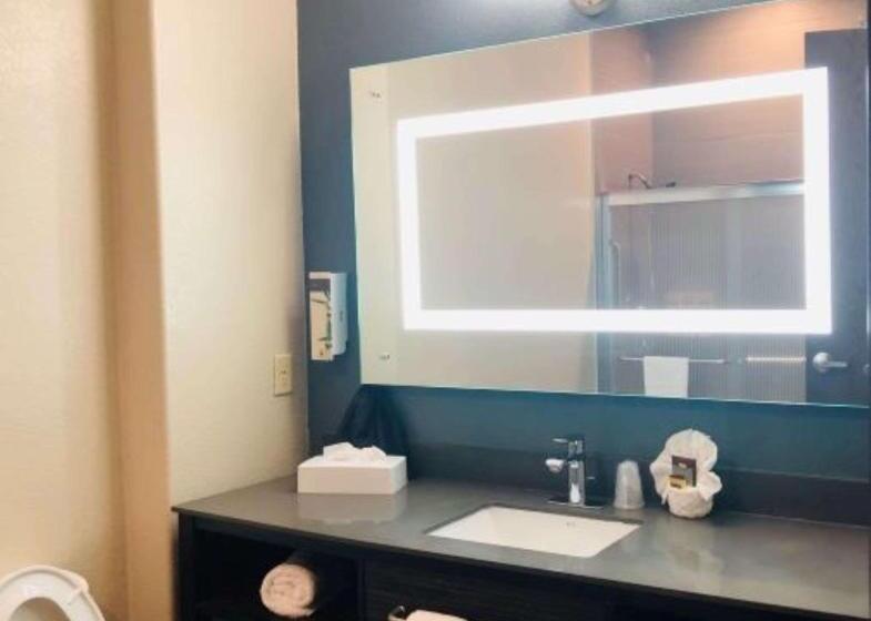 Люкс Адаптированный для Инвалидов, Best Western Plus Pflugerville Inn & Suites