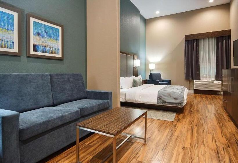Люкс Адаптированный для Инвалидов, Best Western Plus Pflugerville Inn & Suites