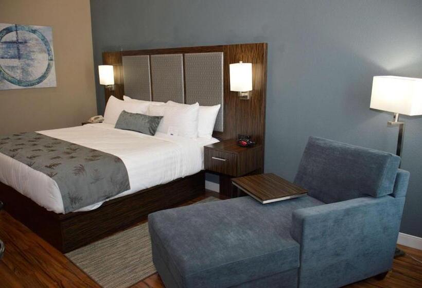 스탠다드 룸, Best Western Plus Pflugerville Inn & Suites