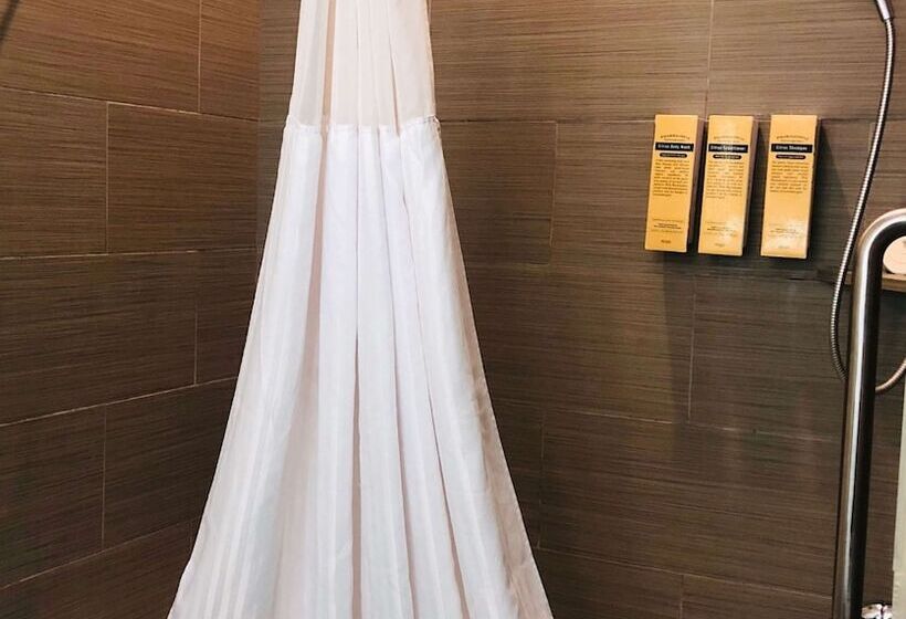 Люкс Адаптированный для Инвалидов, Best Western Plus Pflugerville Inn & Suites