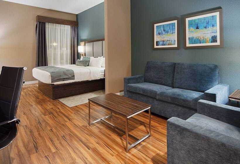 Люкс, Best Western Plus Pflugerville Inn & Suites