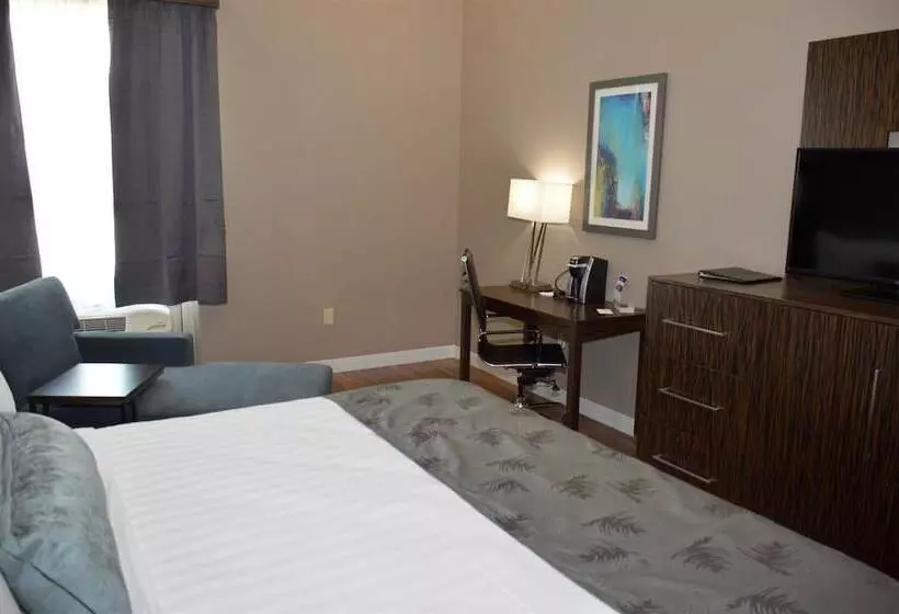 スイート, Best Western Plus Pflugerville Inn & Suites