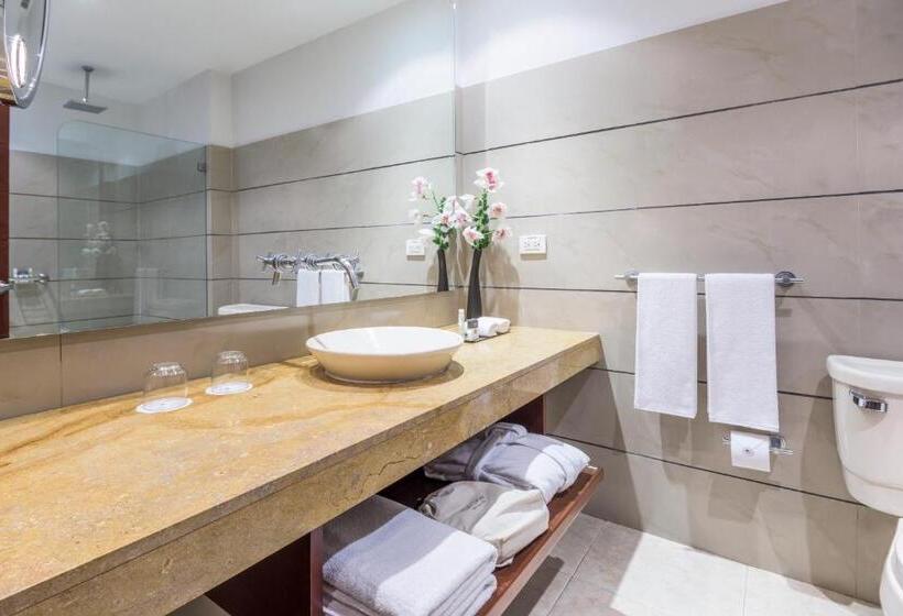 带大床的套房, Cosmos 100 Executive